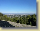 Hike-Redwood-City-Dec2011 (10) * 3648 x 2736 * (5.25MB)
